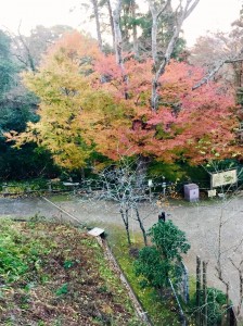 20171207_171209_0005