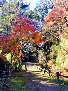 20171207_171209_0009