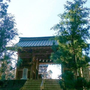 25550089_1531892540197795_8580904648630164272_n