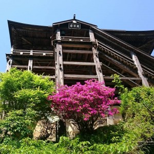 31100324_1649956428391405_4107495450366531231_n