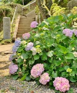 line_157707231953423