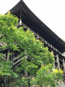 令和の夏 梅雨時の一コマ_190718_0032