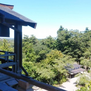 IMG_20200813_071020_740