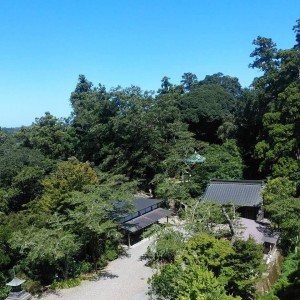 IMG_20200813_071020_748