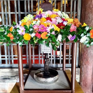 278083017_4945564432163905_95253592367405711_n